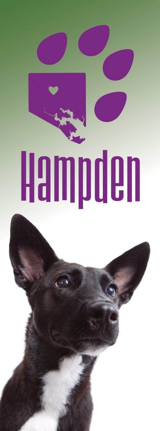 Hampden Avenue dog banners long eared black mutt