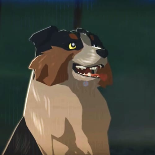A dog from BOTW, not to be confused with a wolf.