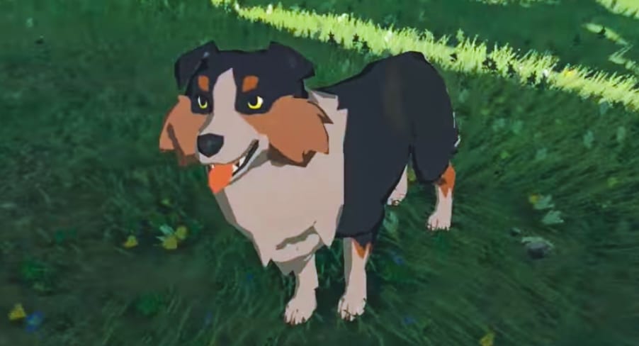 One of the Breath of the Wild's many friendly dogs.