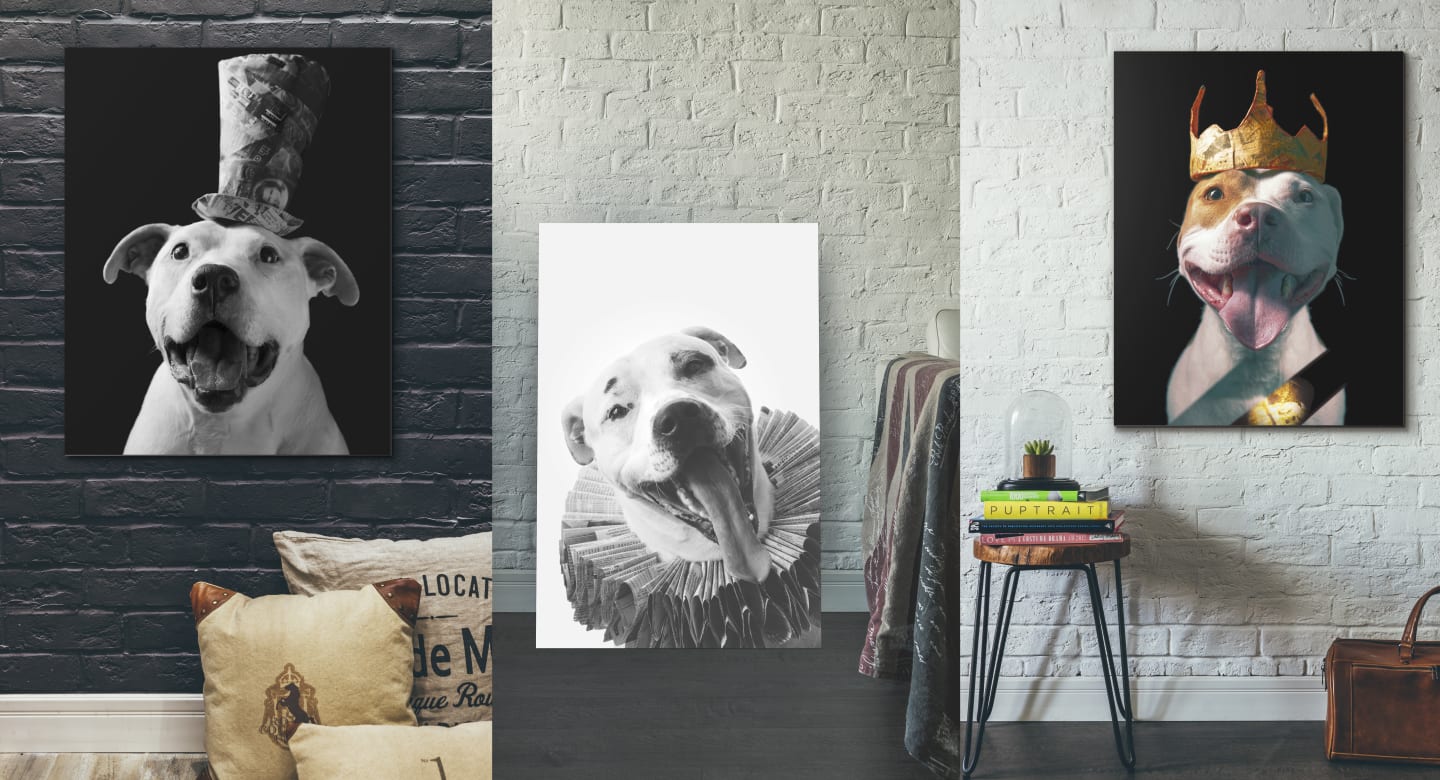 Collection of contemporary dog portrait art from the Paper Hat sessions