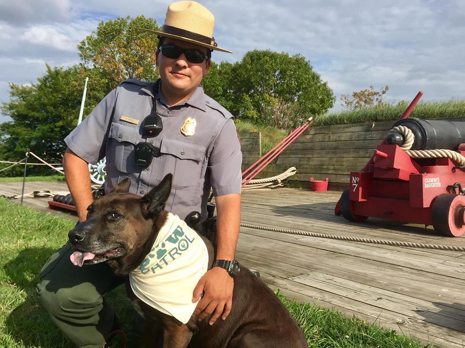 Bark Ranger Dog Bandana 