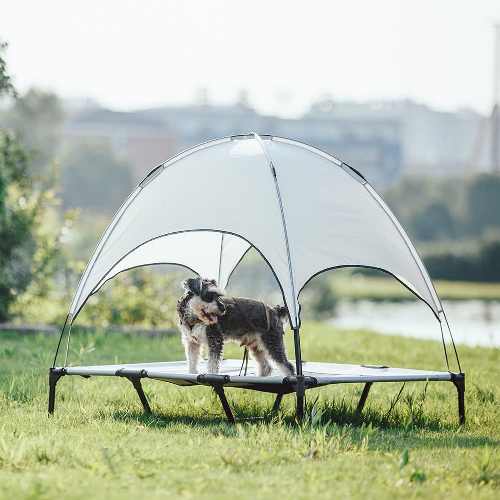 Elevated pet bed with attached canopy.