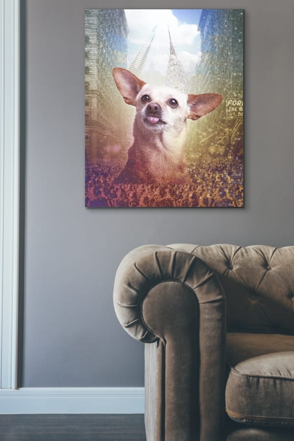 Licensed pet and dog photo art for hotels, offices, restaurants and lobbies.