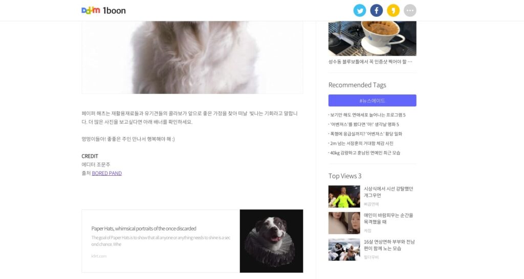 Screenshot of the author's photos being used on a Korean language website properly linking to both the artist's portfolio and print sale websites.