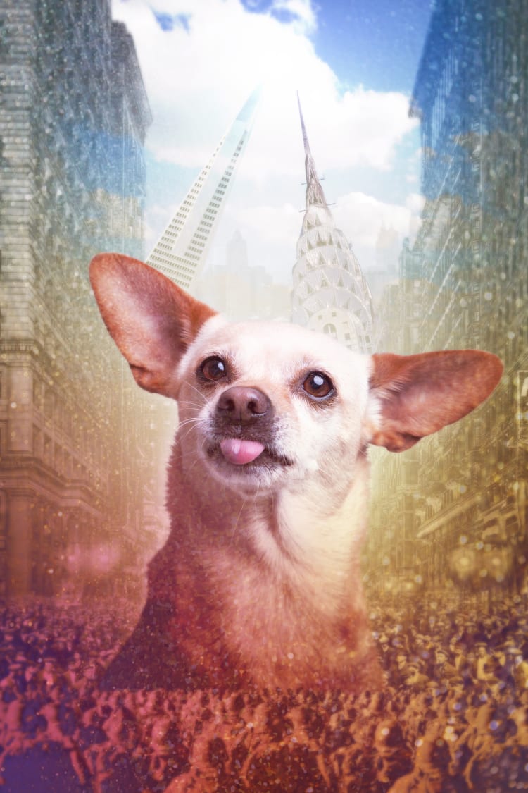 Colorful composite portrait of a Chihuahua sticking their tongue out playfully at the camera.