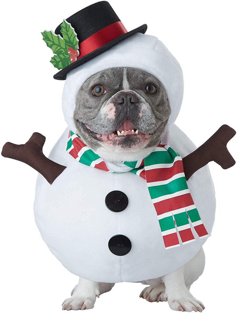photo of a fun bulldog wearing a frosty the snowman pet costume.
