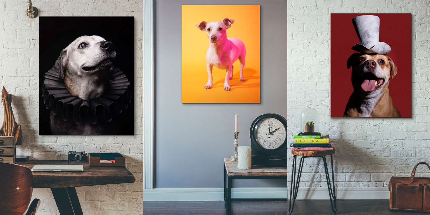 Professional Pet Portrait Cost and Fees for Art Prints and Gifts