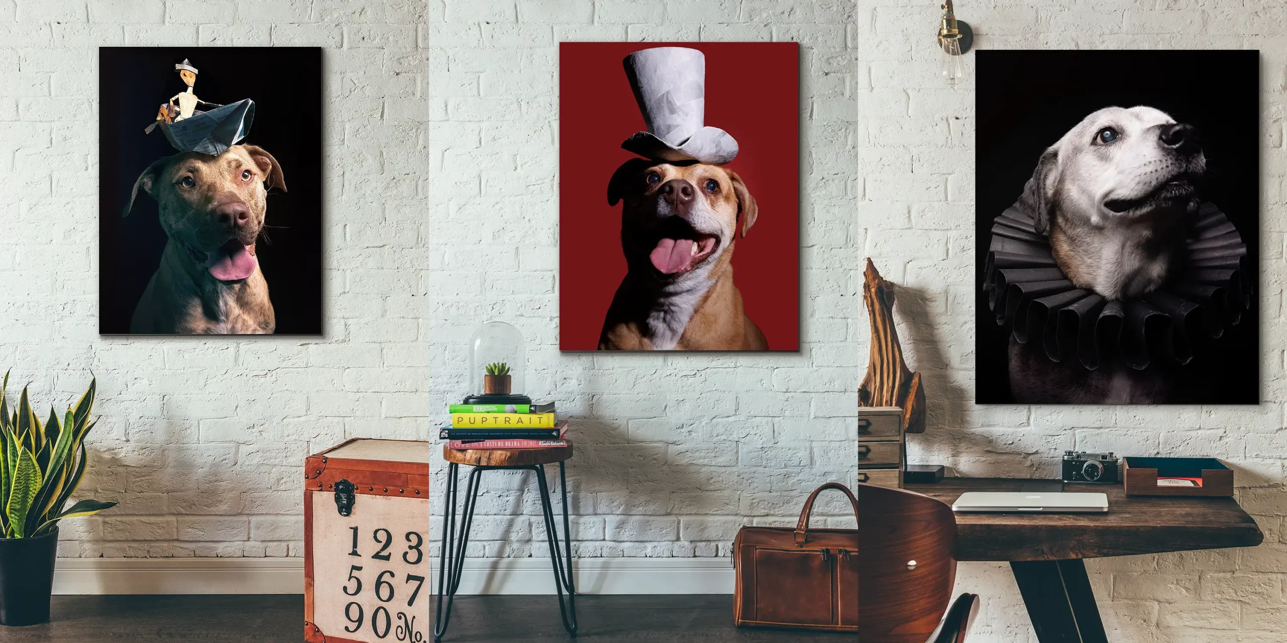 Creative photographic portrait art of happy dogs wearing costumes, photographed at the Puptrait Studio located just minutes from Annapolis, Maryland
