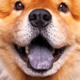 _U6A5694_eye_composite