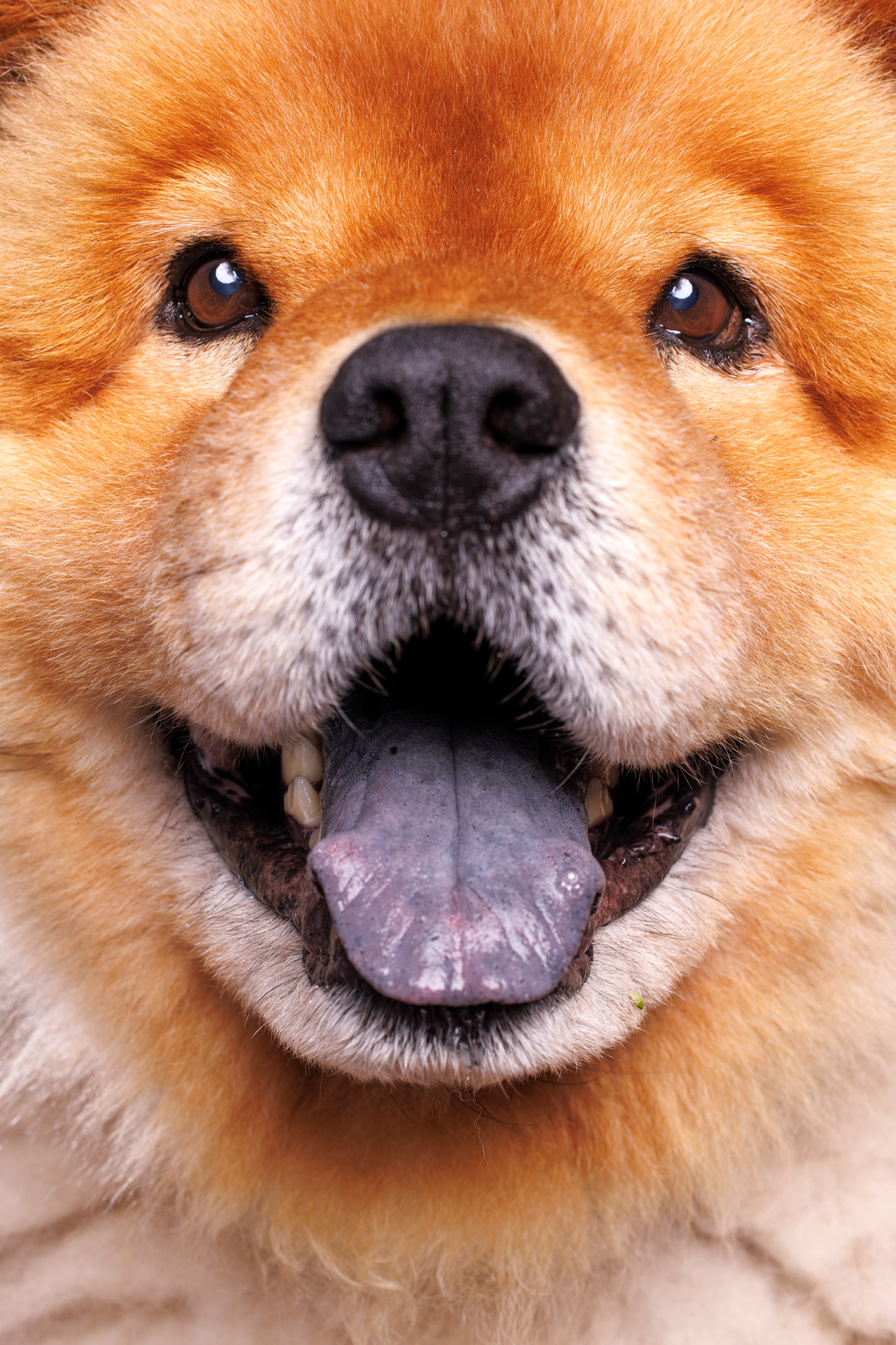 _U6A5694_eye_composite