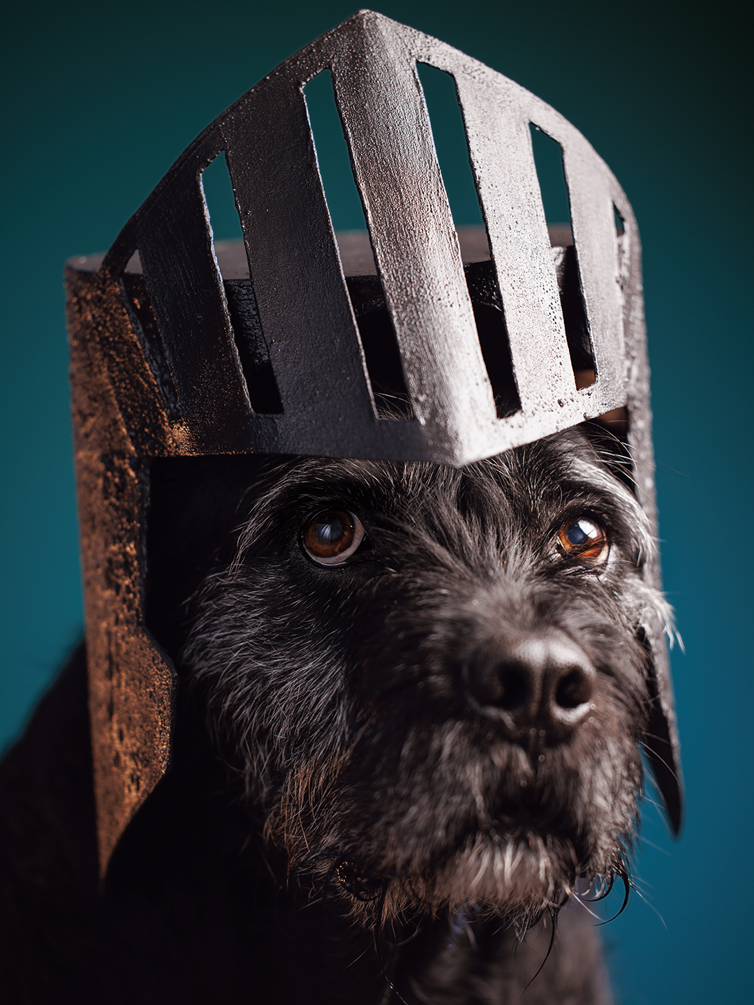 Portrait of a 90lbs terrier mixed breed dog wearing a handmade knight's helmet against an emerald green background. Costume and photography by J.B. Shepard. Captured at his dog-friendly photo studio in Baltimore City, Maryland.
