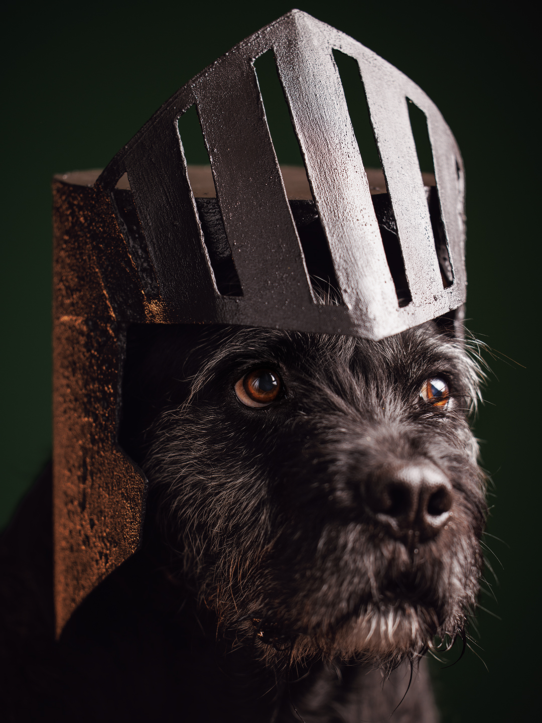 Portrait of a 90lbs terrier mixed breed dog wearing a handmade knight's helmet against an emerald green background. Costume and photography by J.B. Shepard. Captured at his dog-friendly photo studio in Baltimore City, Maryland.