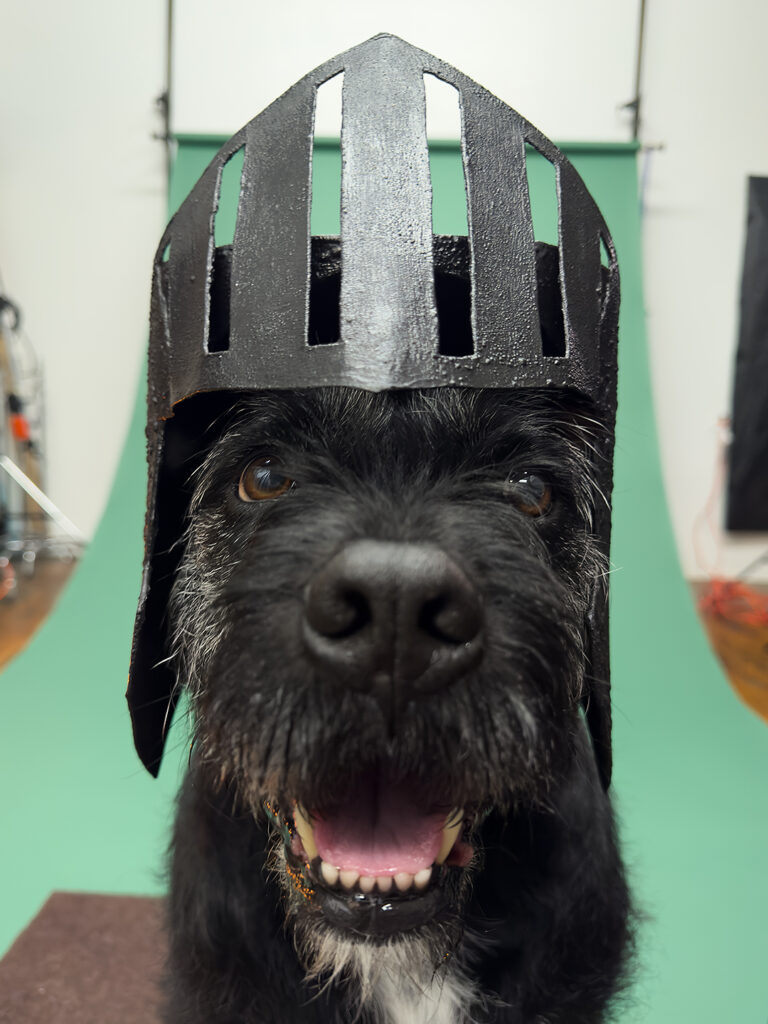 Original dog costume design work by a senior dog named Harry, photographed by celebrity pet photographer, J.B. Shepard