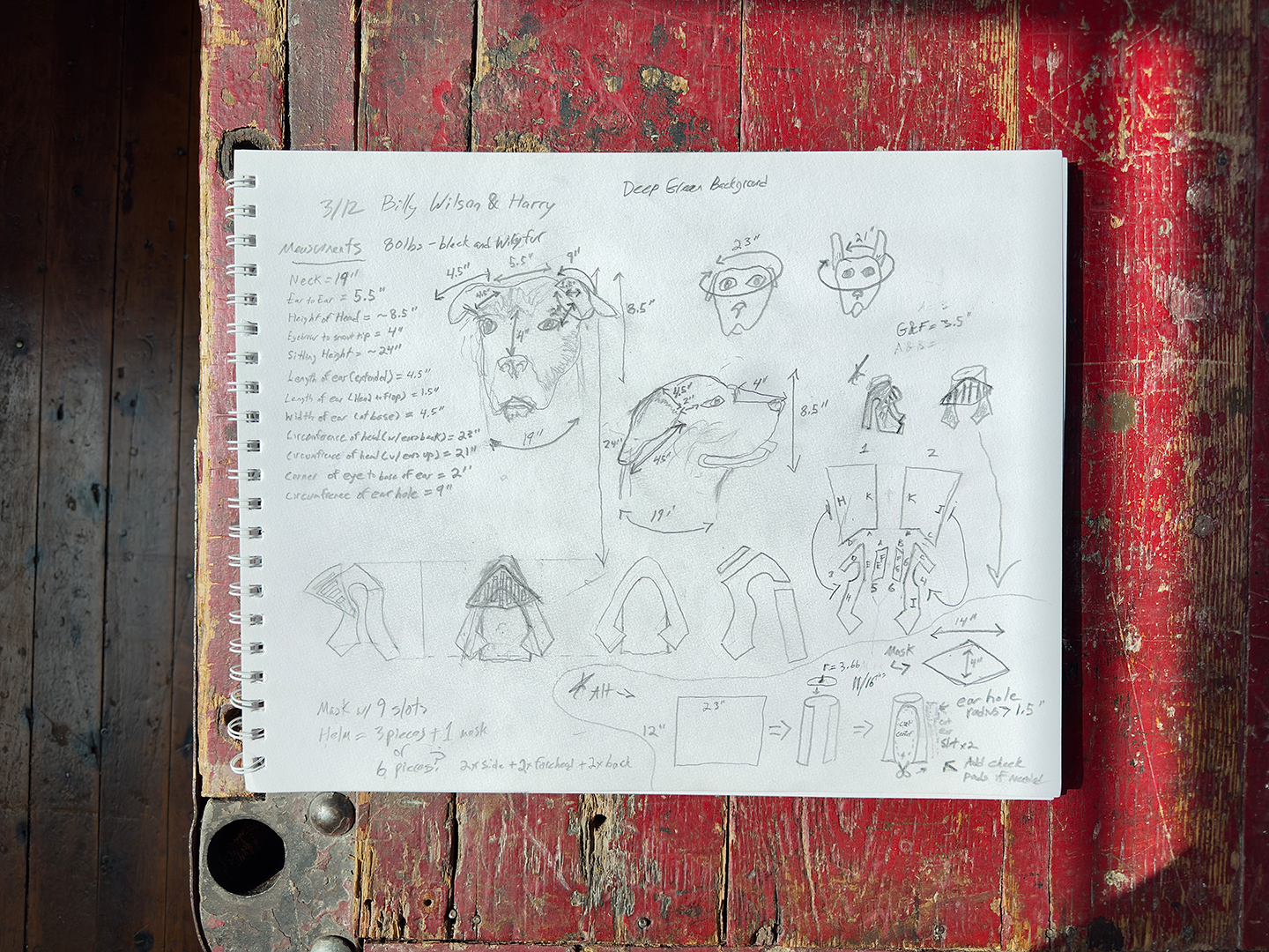 Sketched plans for an original dog costume design by celebrity pet photographer, J.B. Shepard